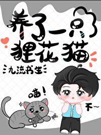 狸花猫多少钱一只正常价
