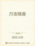 暗香旧事月色