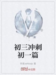 初三 冲刺