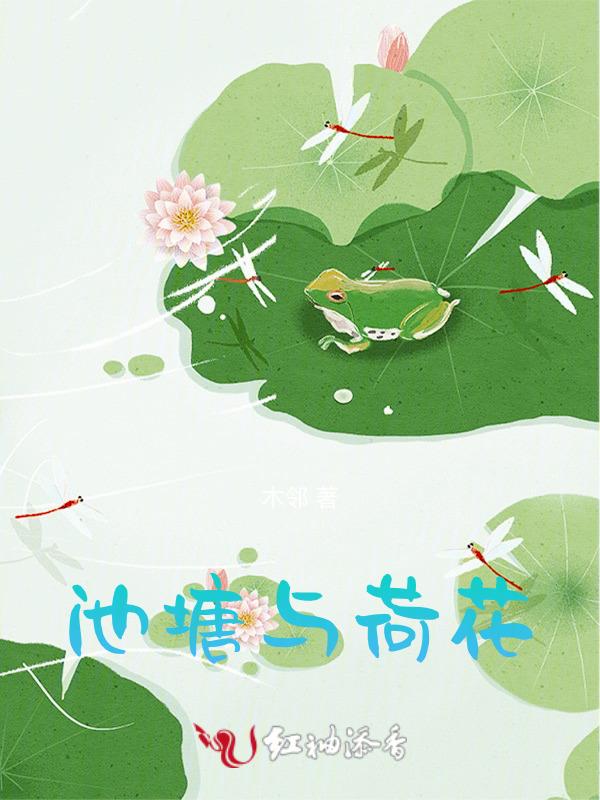 池塘荷花文案