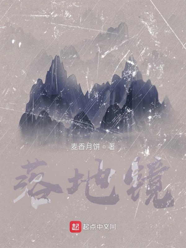 落地镜什么意思