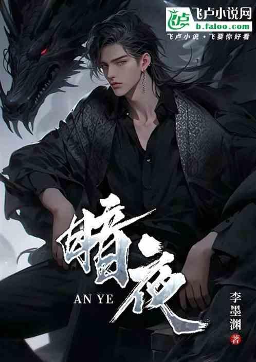 暗夜与黎明多少集