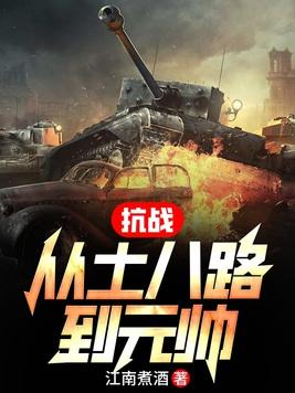抗日之从小兵到将军