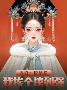 穿清反清