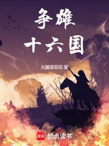 争雄十六国全本
