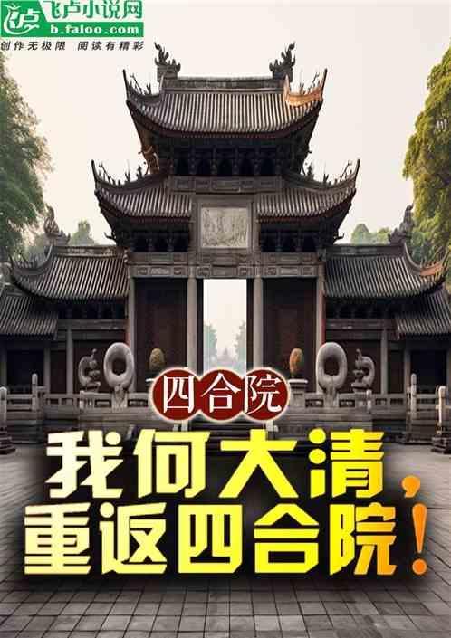 情满四合院我是何大清