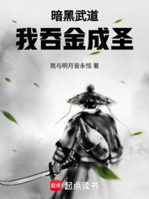 暗黑武道我吞金成圣作者我与明月皆永恒