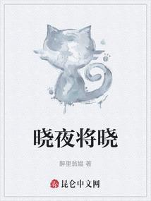 晓夜星沉