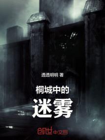 桐城中的迷雾在哪里