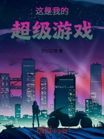 这是我的电脑游戏