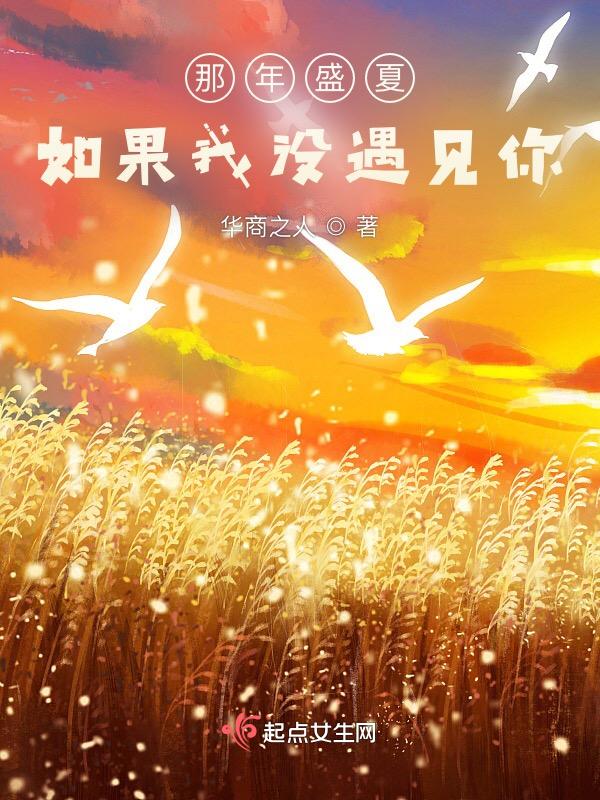 如果我没有遇见你作文
