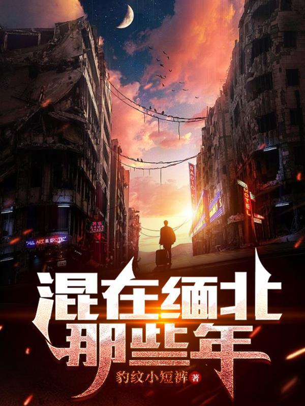 我在缅甸的