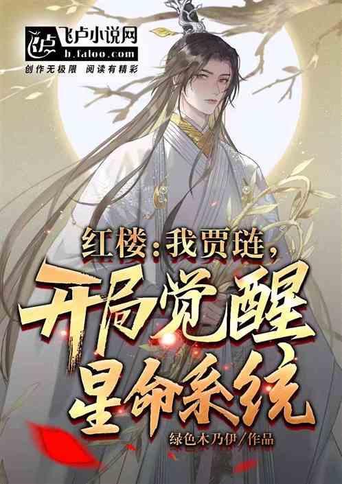 红楼之我是贾琏他哥主角