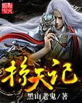 掠天记境界