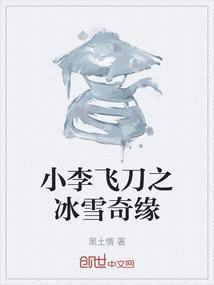 小李飞刀vs飞雪剑法
