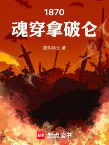 穿越拿破仑战争