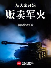 从大宋开始贩卖军火无弹窗