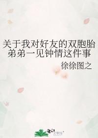 我的双胞胎朋友作文