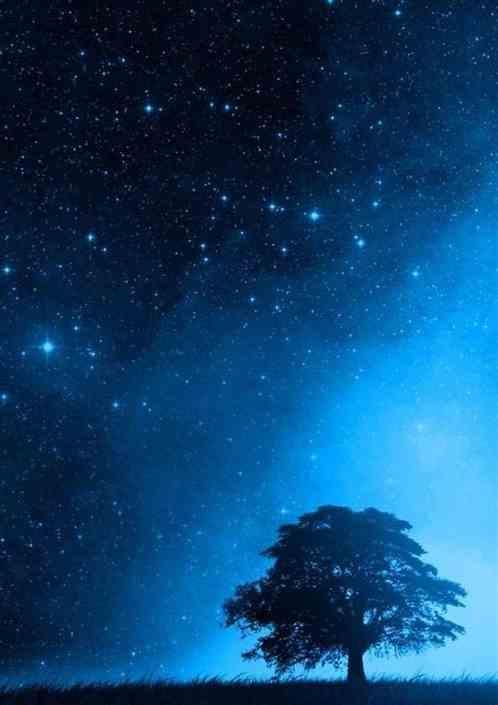 群星旅游星球