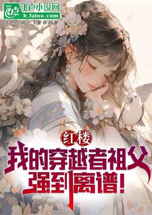 穿越红楼之我是