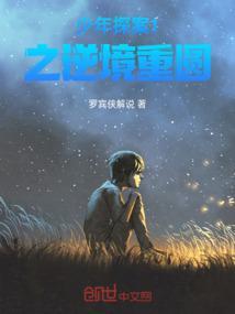 少年探案王的道理