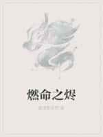 燃命之技是什么意思