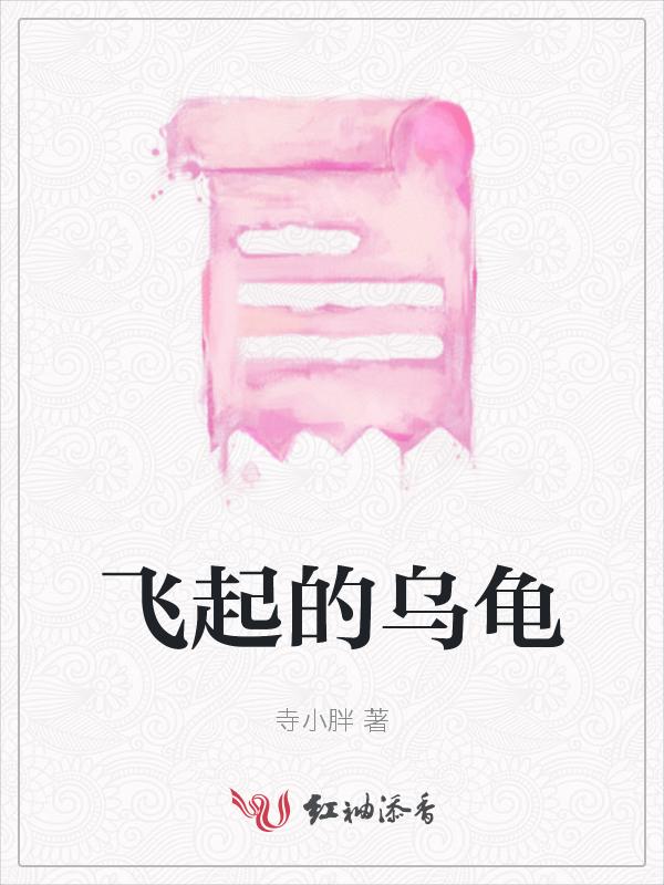 飞行的乌龟的寓意