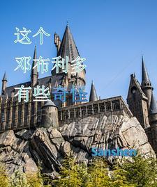 邓布利多吧