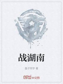 湖南之战