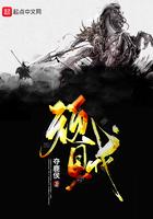 顽贼笔趣阁无弹窗