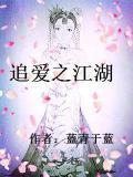 追爱