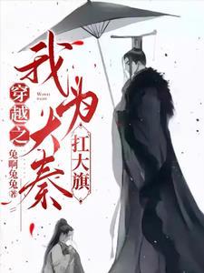 秦国政绩