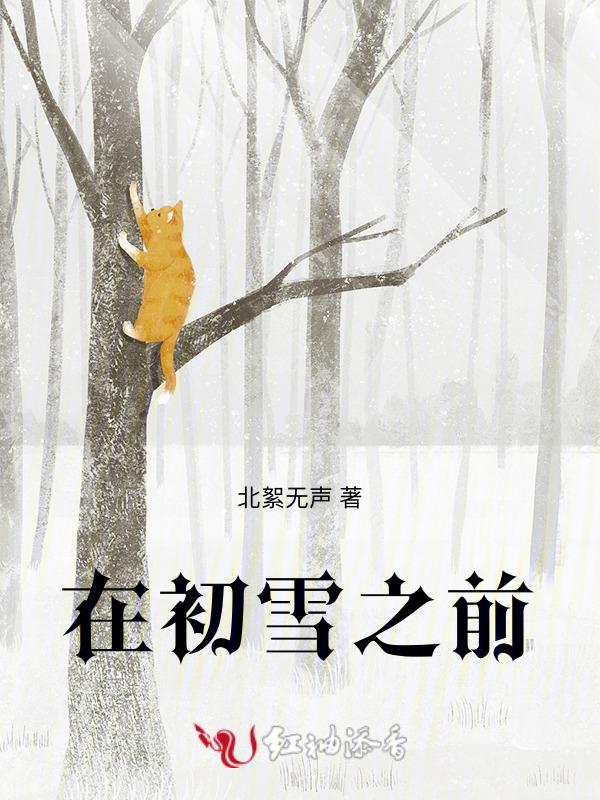 初雪过后