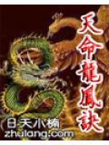 天命龙魂漫画免费阅读