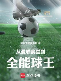 曼联球员版