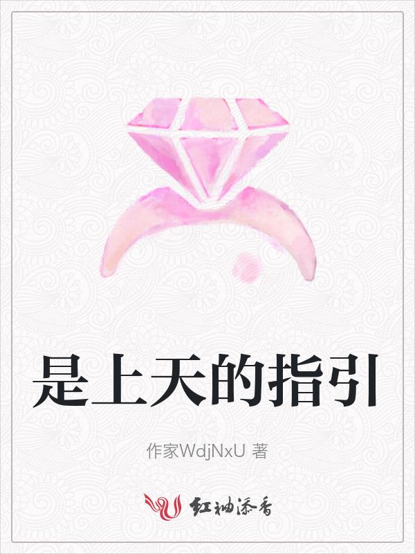 是上天的指引歌词