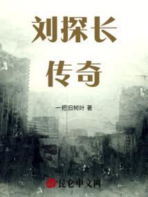 刘探长总部