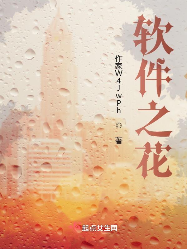软件之窗