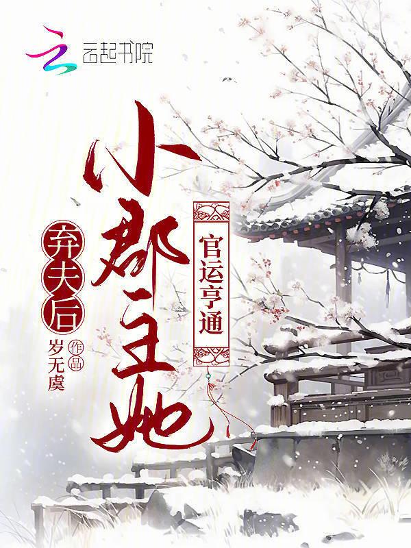 弃妇穿越公主
