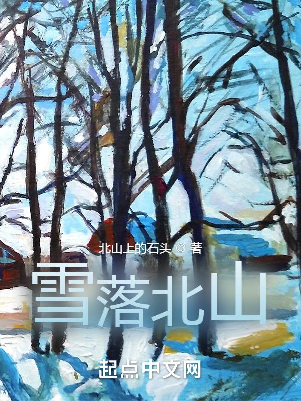 雪落北方阅读题