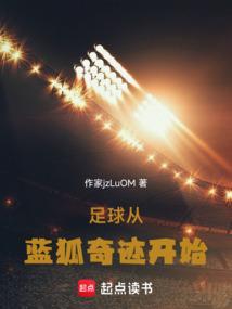 足球从蓝狐奇迹开始起点