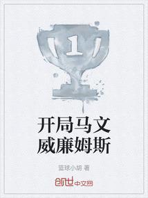 马文威廉姆斯集锦