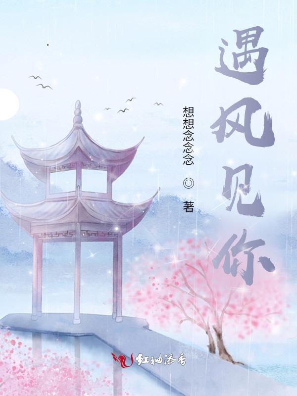 遇见风遇见雨
