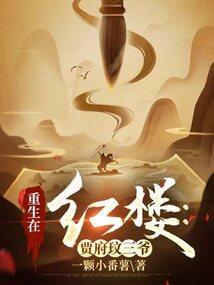 重生红楼之贾府