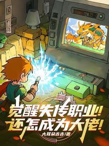 觉醒解读