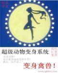 超级变身系统r