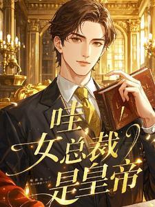 女总裁是les