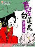 命中有朵白莲花什么意思