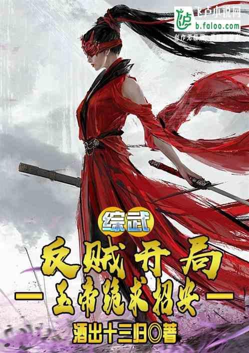 综武反贼开局