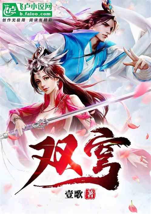 双穹幻想安装
